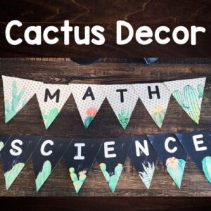Cactus Decor