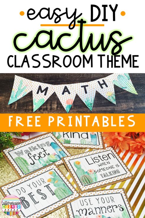 Easy DIY Cactus Classroom Theme Ideas